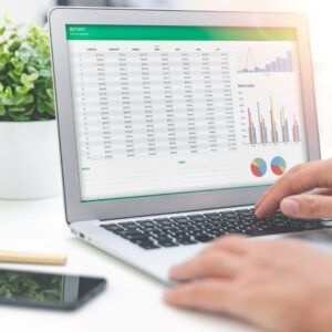 person accessing a spreadsheet on a computer