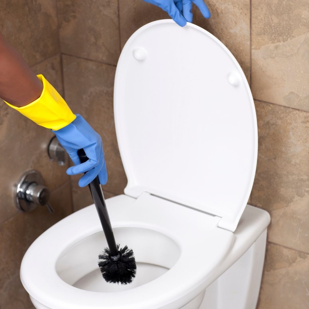 hand holding toilet brush